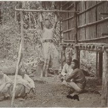 Omc 1960.719.012, Fd 002 003 004 P